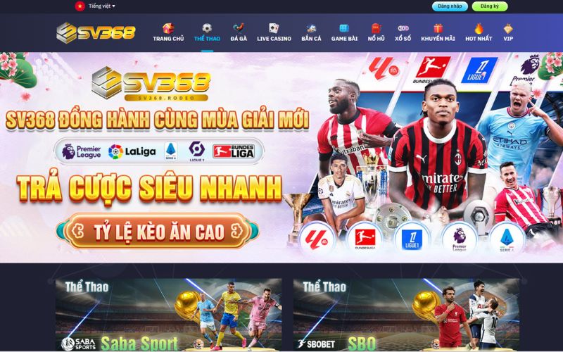 Thế giới cá cược Thể Thao sôi động và đầy màu sắc