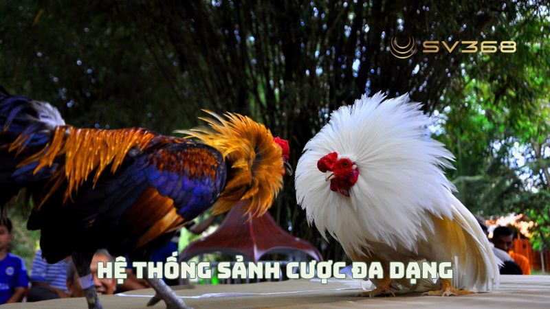 Hệ thống sảnh cược đa dạng là lợi thế của Đá gà Campuchia SV368