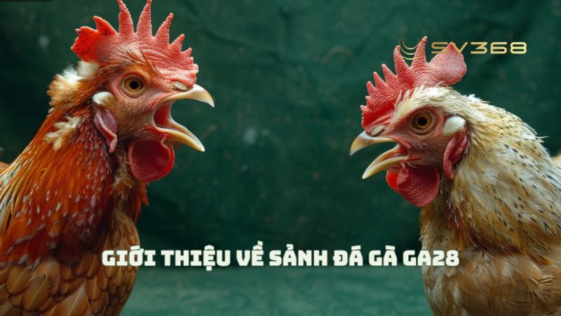 GA28 là gì? Tại sao sảnh cược này lại gây bão tại SV368?
